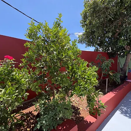 Casa Ancar, Palmas De Gran Canaria * Tenteniguada